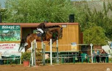 Závody koní na Zálesí s klienty DSJ